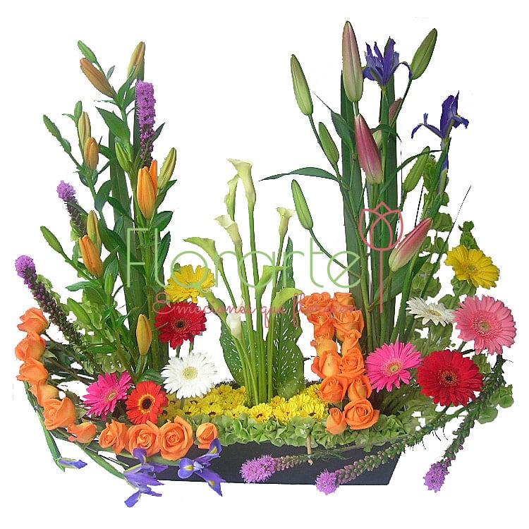 Arreglo Abrazo PrimaveraLOG