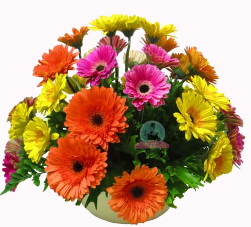 Globo de Gerberas1