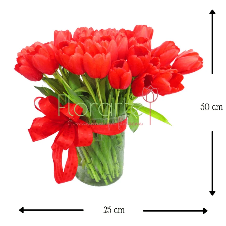 Holanda para Ella - Imagen 3