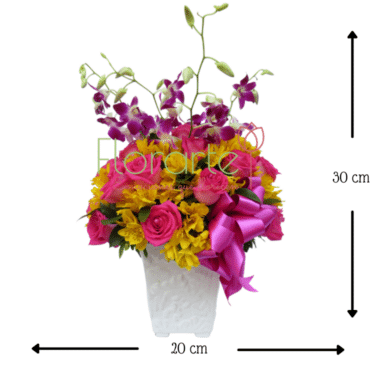 Italia Estrellas Fugaces MED Envía flores a la CDMX