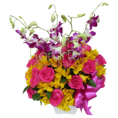 Italia Estrellas Fugaces1 LOG Envía flores a la CDMX