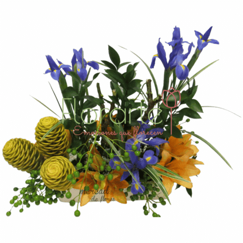 Envía flores a la CDMX