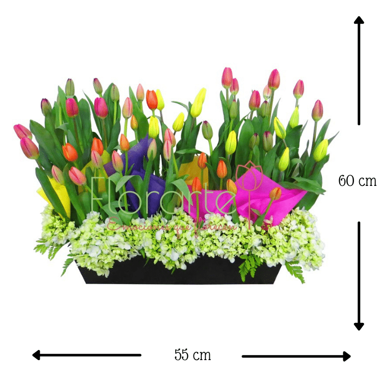 Lluvia Holandesa con HortensiasMED