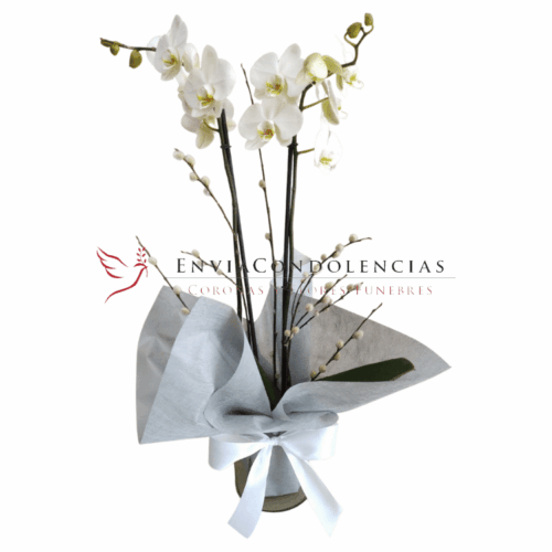 Envía flores a la CDMX