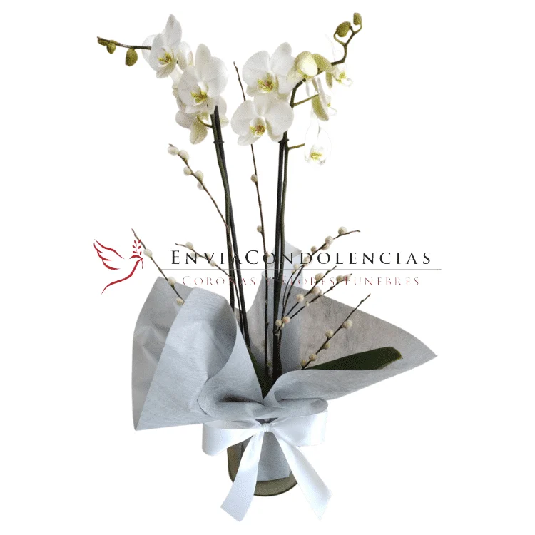 Envía flores a la CDMX
