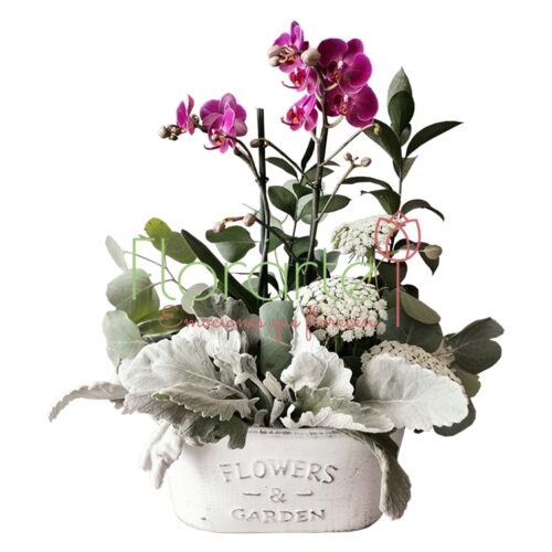 Envía flores a la CDMX