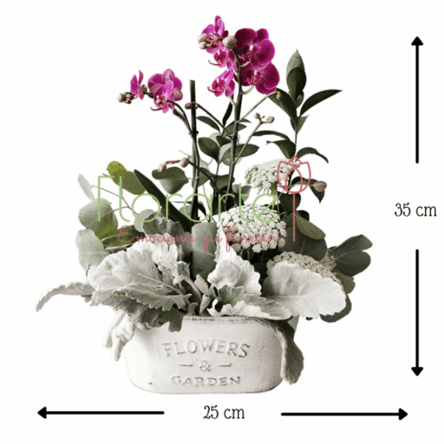 Envía flores a la CDMX