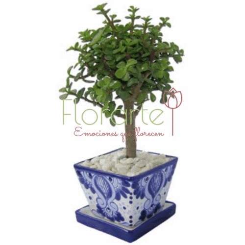 Árbol de la Abundancia