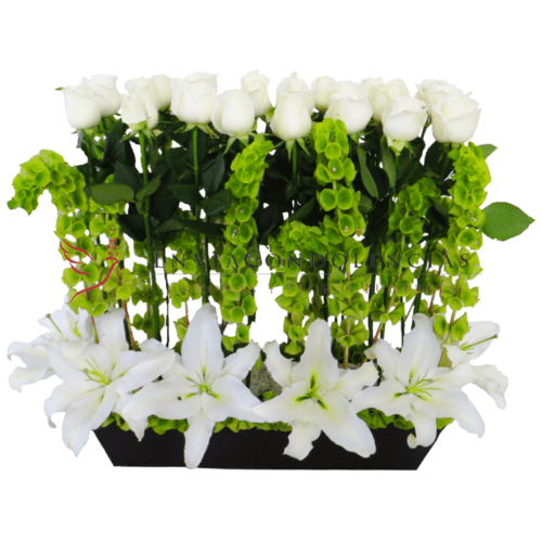 Arreglo funebre: Jardín de Paz Casablancas