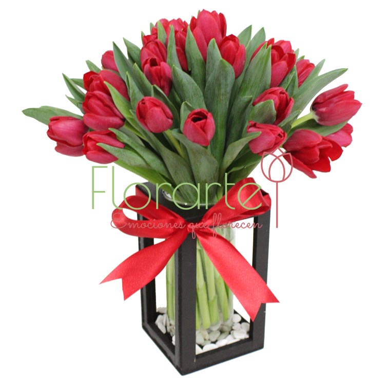 Babel Besos Enamorados3LOG