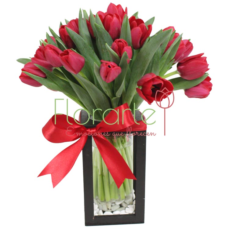 Babel Besos EnamoradosLOG