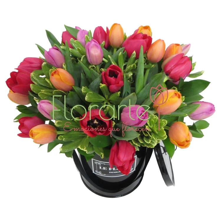 Caja Holanda Felicidad - Imagen 2