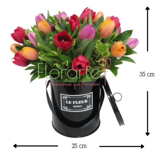 Caja Holanda FelicidadMED