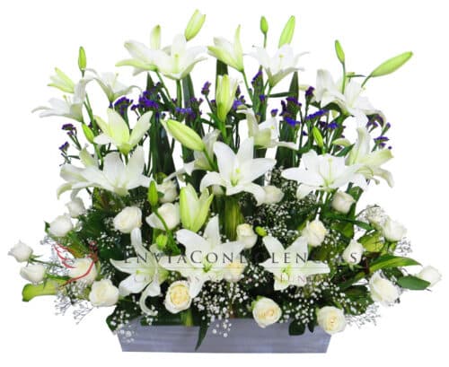 Jardín para el Alma