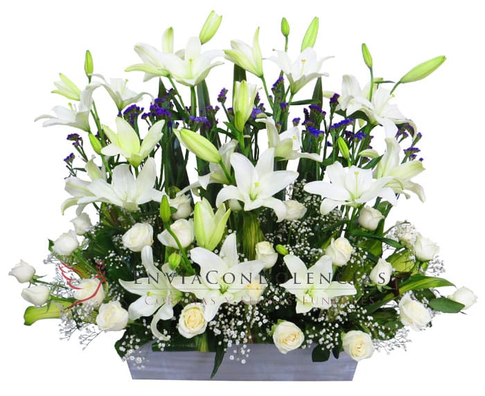 Flores funebres Jardín para el Alma LOG