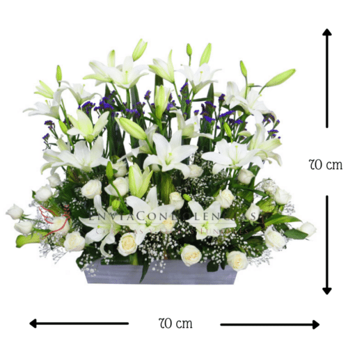 Flores funebres Jardín para el Alma MED