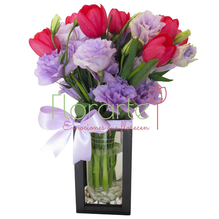 Babel Besos y SueñosLOG