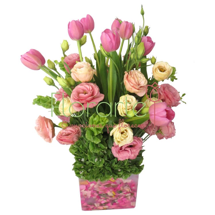 Florencia DonatelaLOG