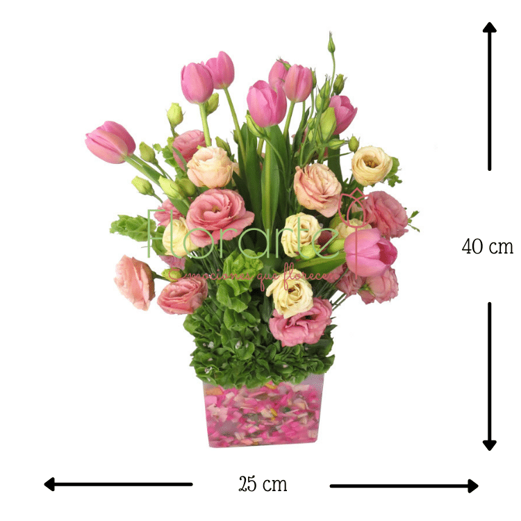 Florencia DonatelaMED