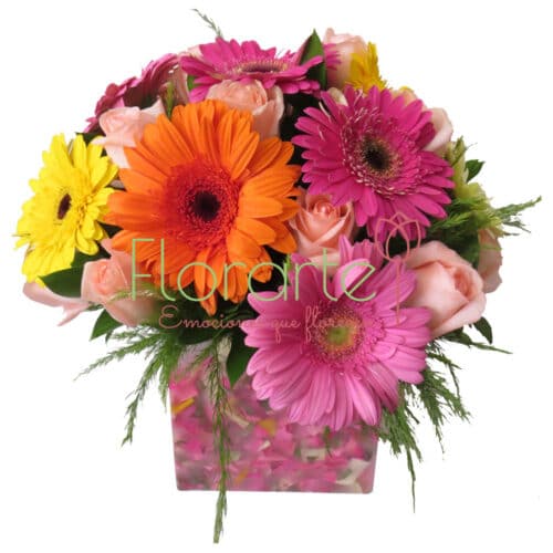 Florencia Festival de Color