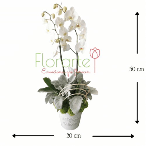 Envía flores a la CDMX