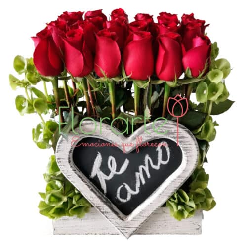 Rosas del Corazón2LOG