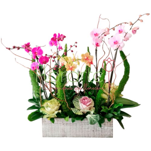 Jardín de Suspiros ll