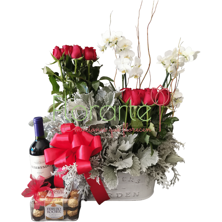 Tu mi complemento LOG