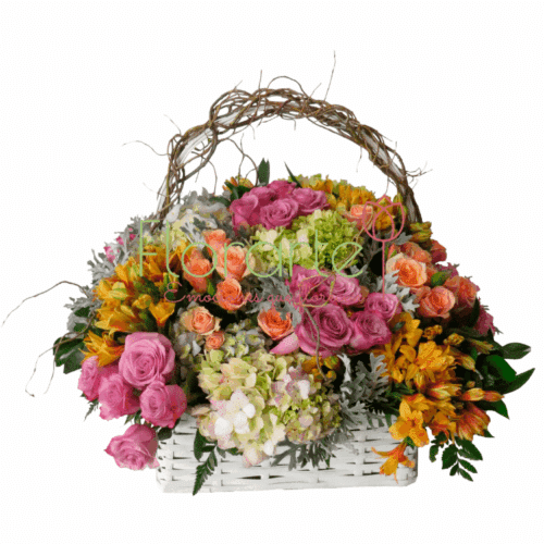 Vintage Brillo de Ternura