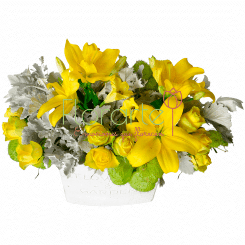 Brillo De Sol1LOG Envía flores a la CDMX