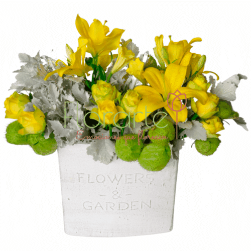 Brillo De SolLOG Envía flores a la CDMX