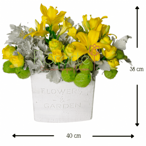 Brillo De SolMED Envía flores a la CDMX