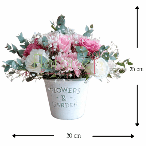 Cuento De HadasMED Envía flores a la CDMX