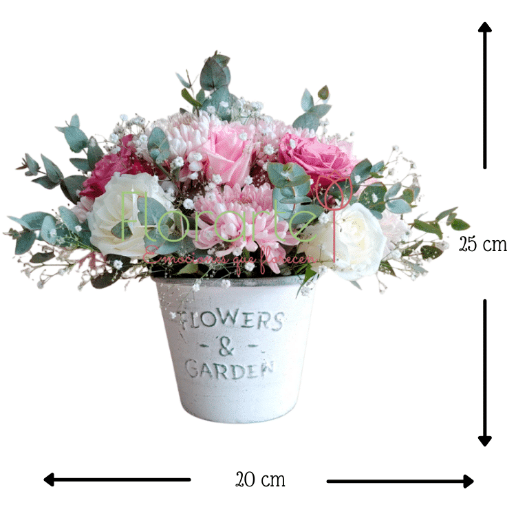 Cuento De HadasMED Envía flores a la CDMX