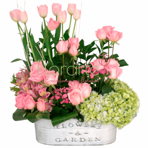 Envía flores a la CDMX