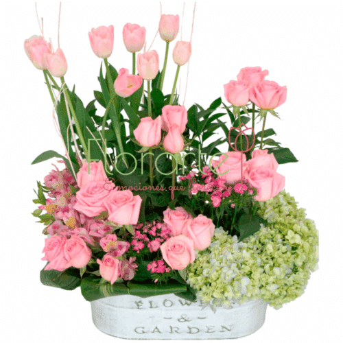 Envía flores a la CDMX