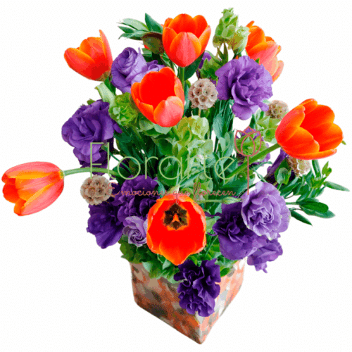 Envía flores a la CDMX