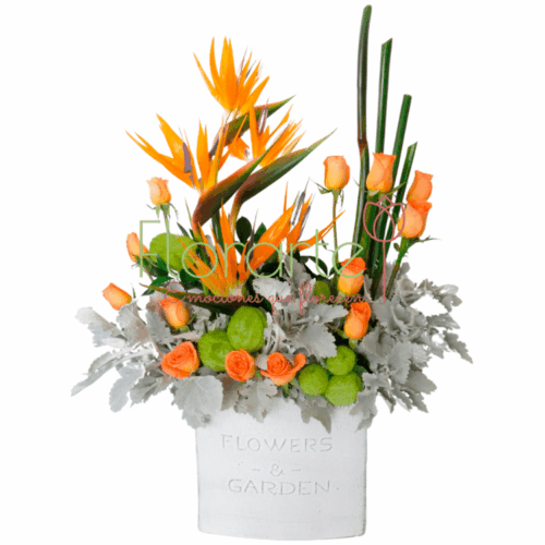 Jardín De Aves1LOG Envía flores a la CDMX