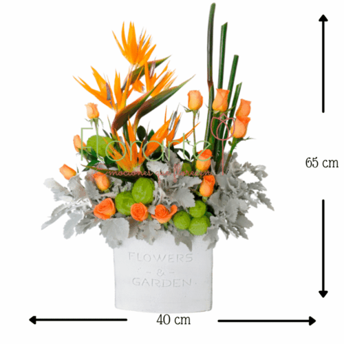 Jardín De Aves1MED Envía flores a la CDMX