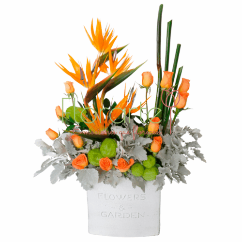 Jardín De AvesLOG Envía flores a la CDMX