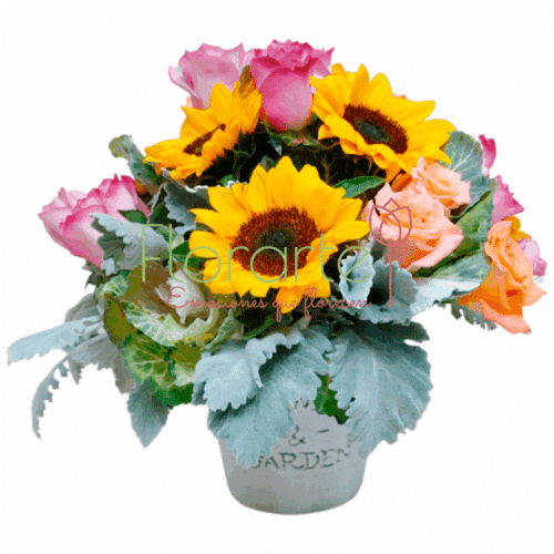 Envía flores a la CDMX