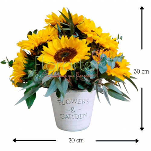 Envía flores a la CDMX