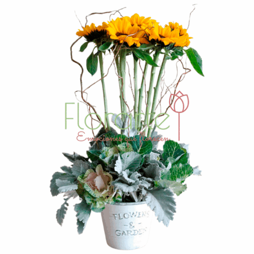 Envía flores a la CDMX