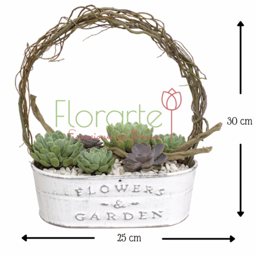 Envía flores a la CDMX