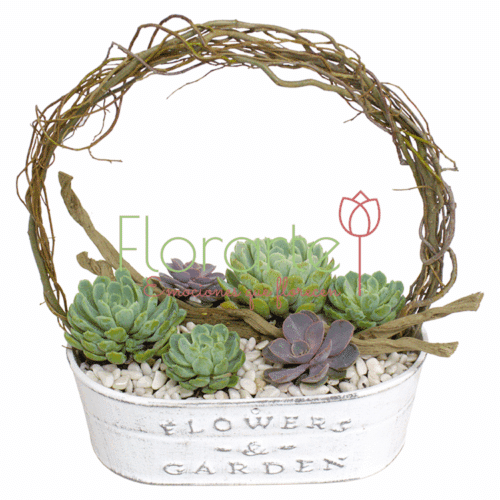 Envía flores a la CDMX