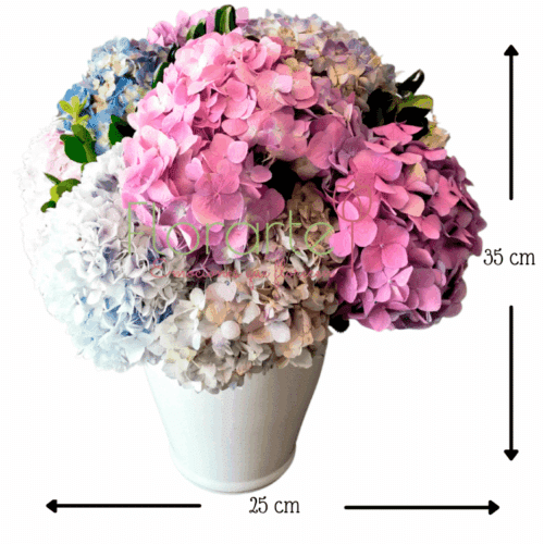 Encanto de hortensias MED Envía flores a la CDMX