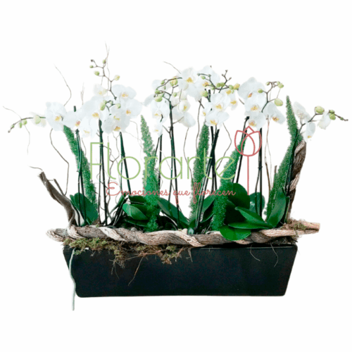 Envía flores a la CDMX