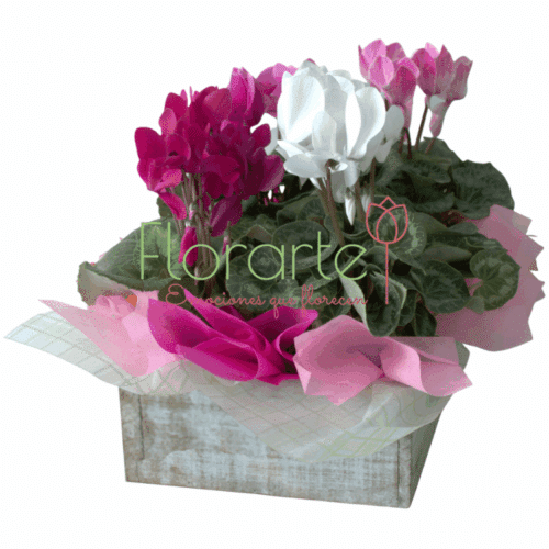 Envía flores a la CDMX