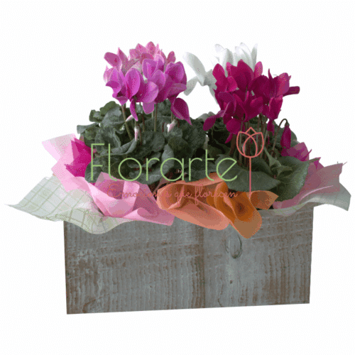 Envía flores a la CDMX