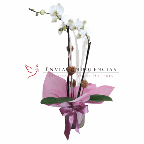 Envía flores a la CDMX